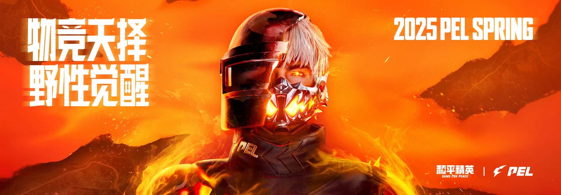 突破游戏界限：探索和平精英辅助工具的神秘世